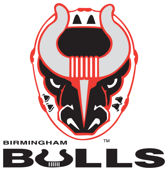 Birmingham Bulls