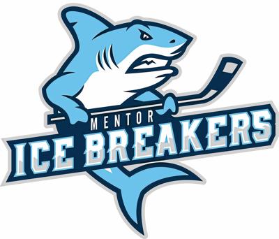 Mentor Ice Breakers